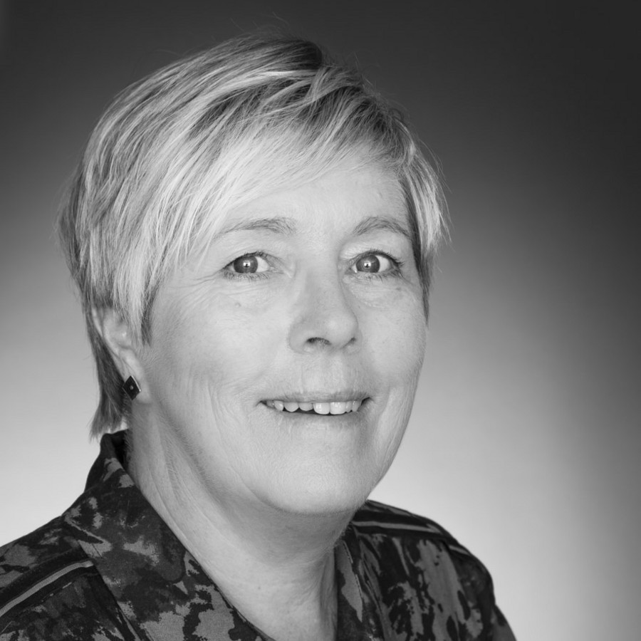 Berit J. Nesse, Architect, Administrator LINK Arkitektur