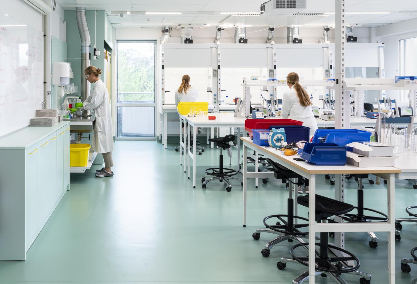 Lab with sea green floors. Photo