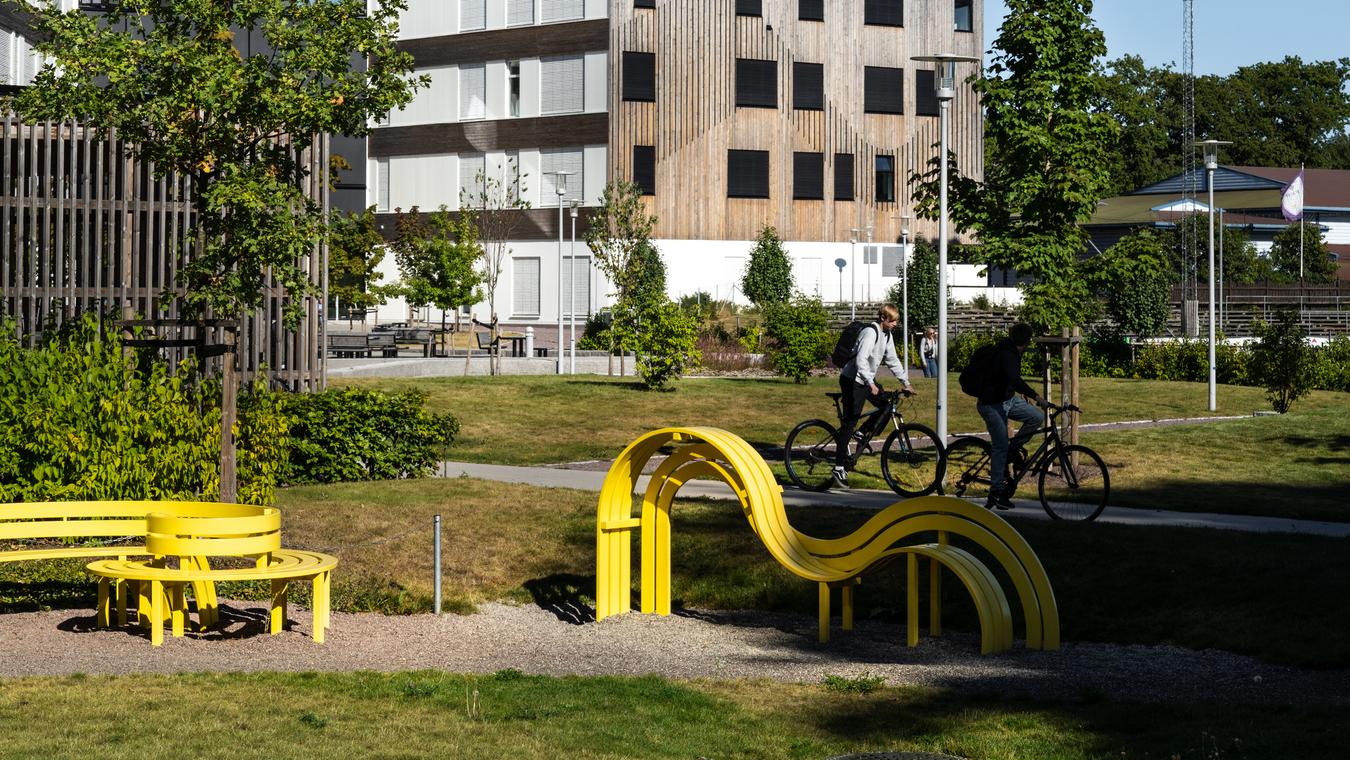 Green outdoor area with multiuse yellow benches. Photo